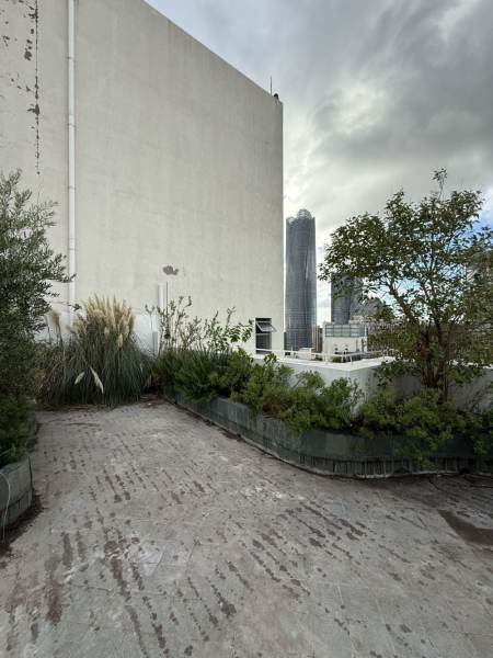 Housing image — Terrace