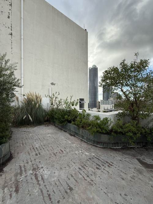 Housing image — Terrace