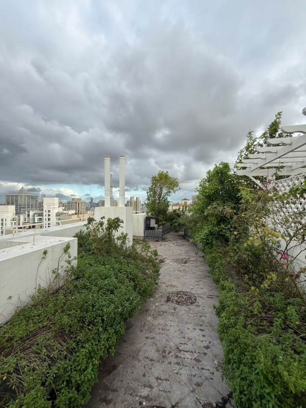Housing image — Terrace