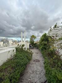 Housing image — Terrace