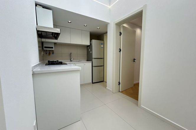 1BR Apartment in Old Xuhui (L10/L11)