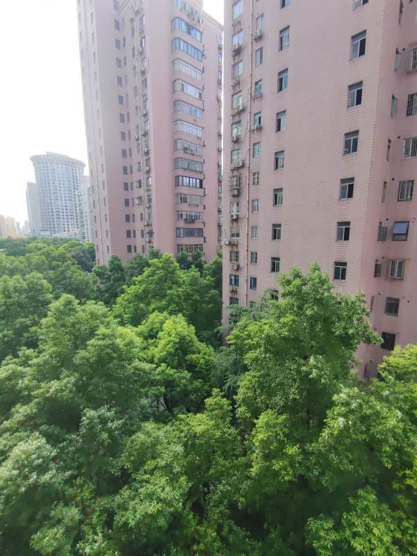 Housing image — View