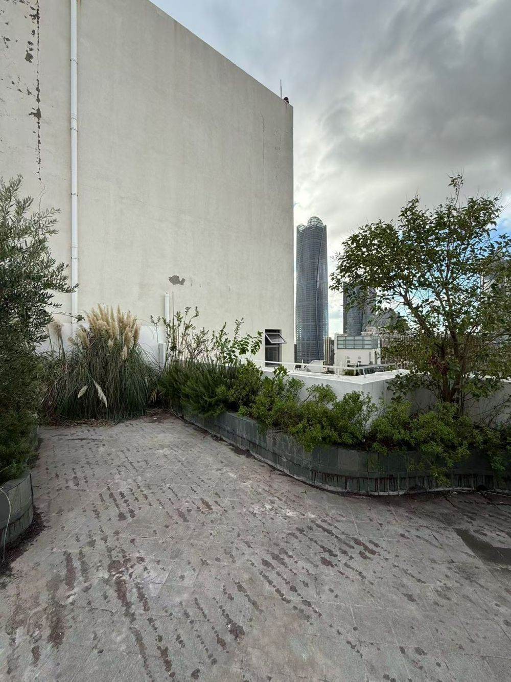 Housing image — Terrace