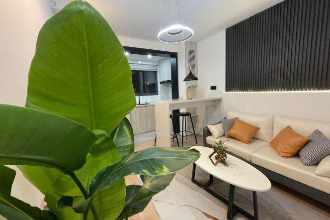 1BR Apartment in Gubei (L2/L3/L4)