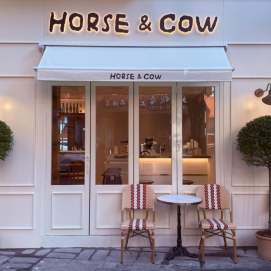 Horse & Cow