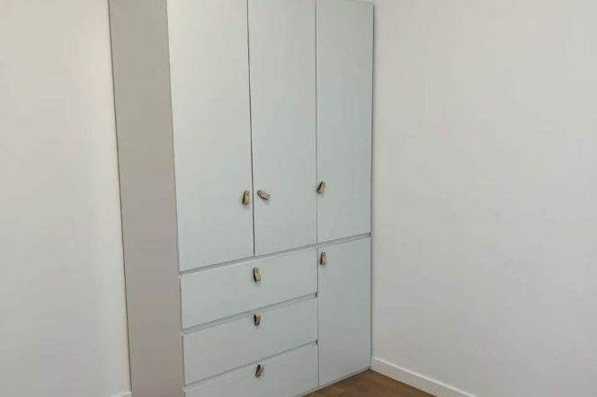 1BR Apartment in Xujiahui (L1/L9/L11)