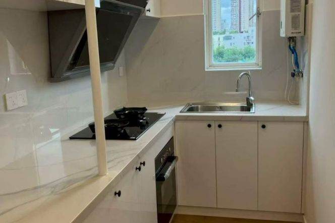 1BR Apartment in Xujiahui (L1/L9/L11)