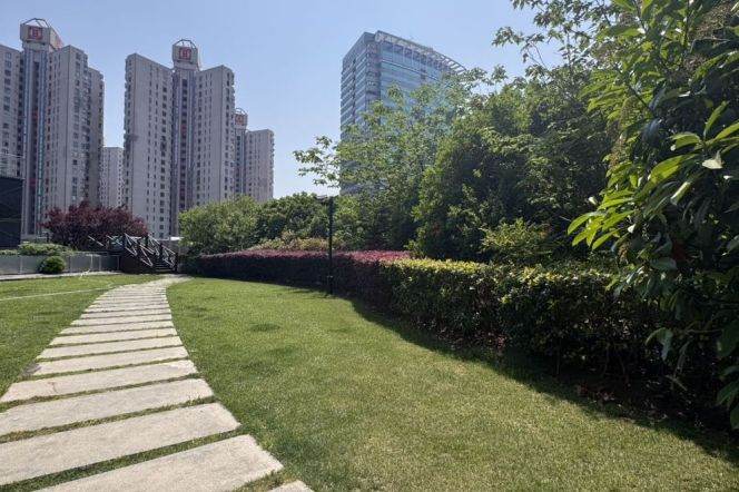 High-Floor 2BR Apartment near Dapuqiao Metro (L9)