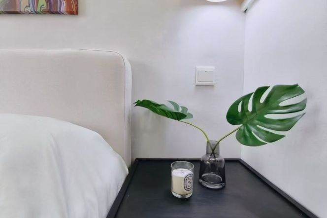 1BR Apartment in Xujiahui