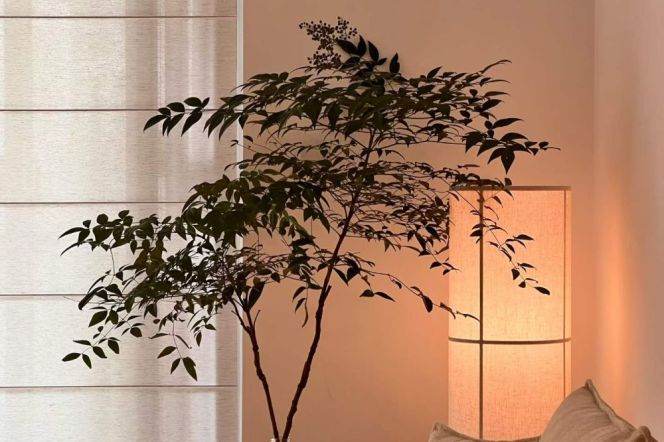 Spacious 2BR Apartment near Jiangning Rd Metro (L13)