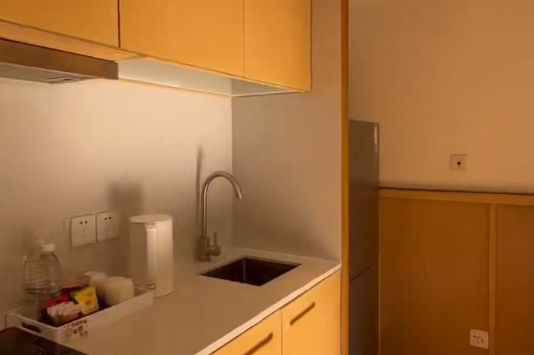 1BR Serviced Apartment near West Bund (L3)
