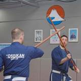 Yoseikan Budo Free Trial Month - September 2026