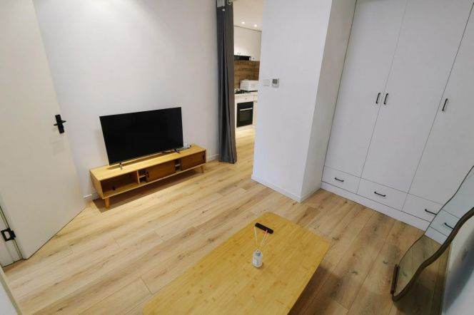 1BR Apartment in Xujiahui (L1/L9/L11)