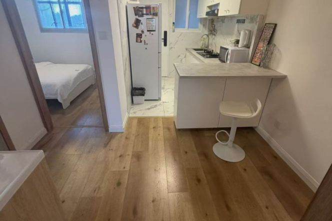 1BR Apartment in Old Xuhui (L1/L7/L9)