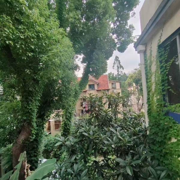 Housing image — Other