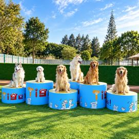 Kungfu Pet · Pet Haven