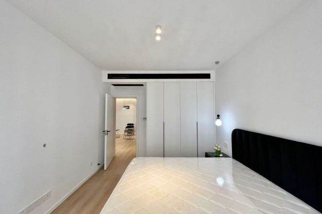 1BR Apartment near Dapuqiao Metro (L9)