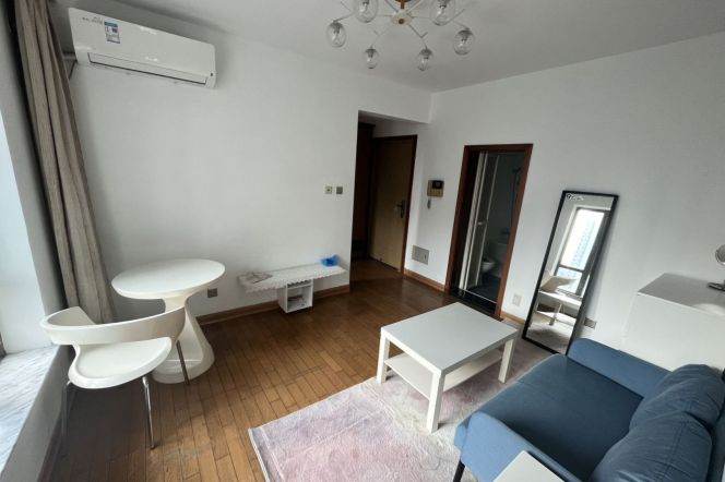 1BR Apartment in Xujiahui