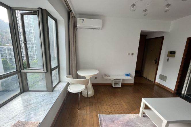 1BR Apartment in Xujiahui