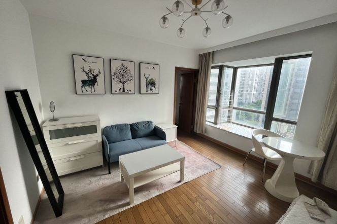 1BR Apartment in Xujiahui
