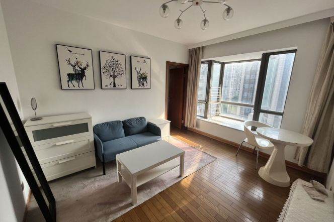 1BR Apartment in Xujiahui