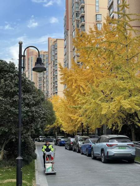 Housing image — Compound