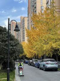 Housing image — Compound