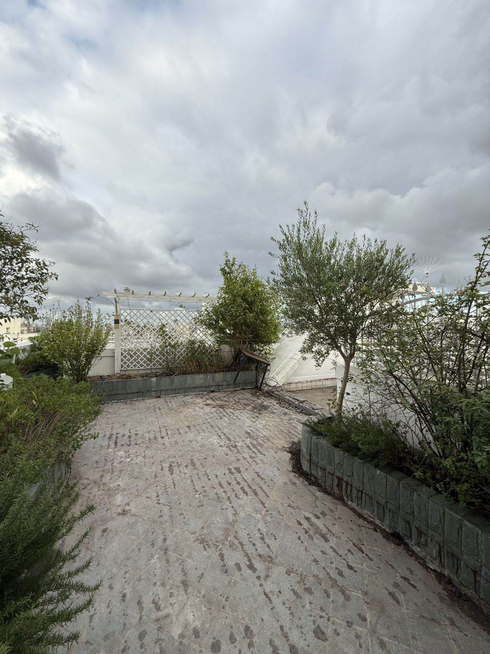 Housing image — Terrace