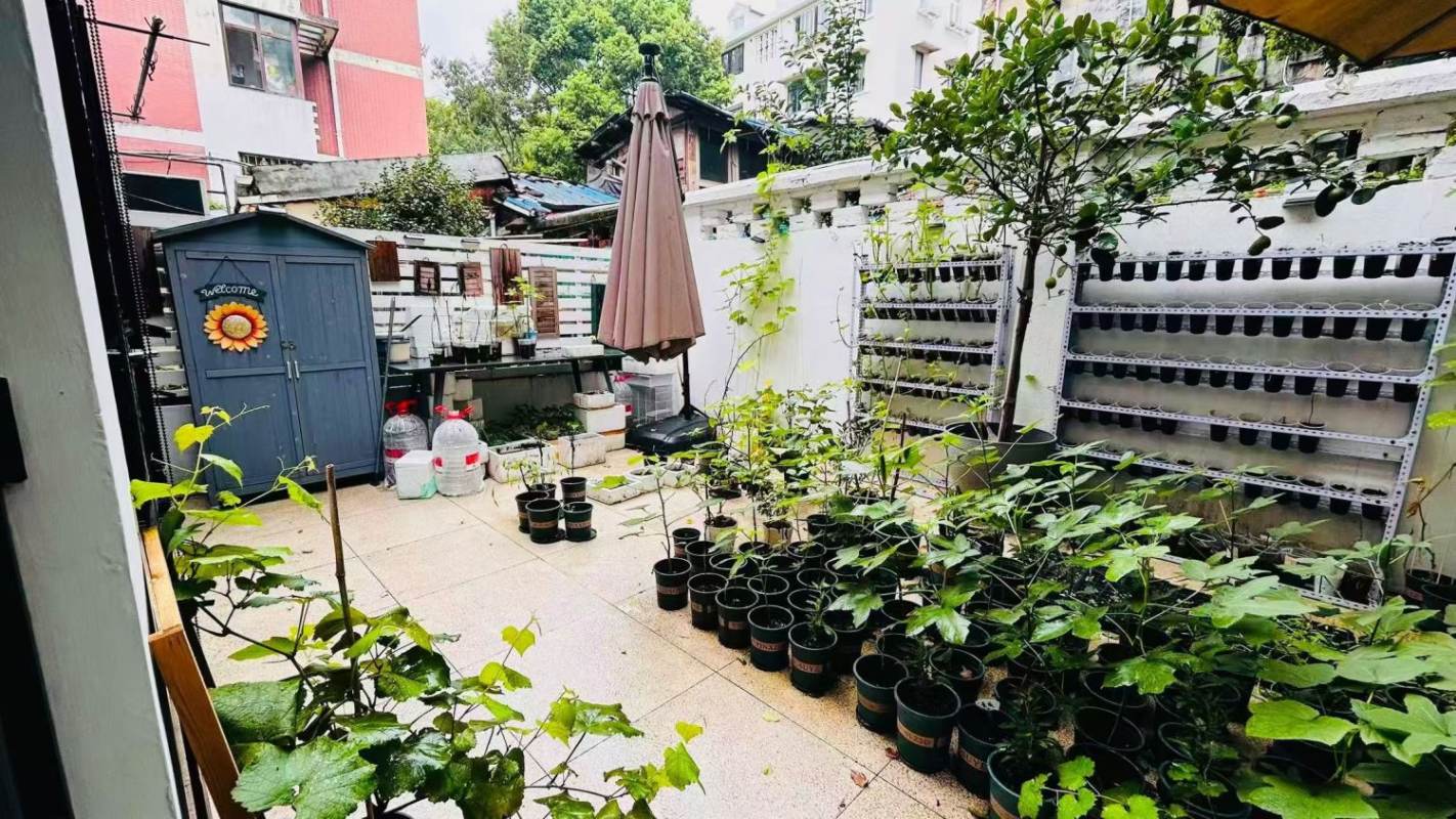 Housing image — Garden