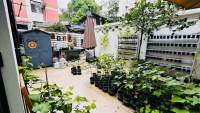 Housing image — Garden