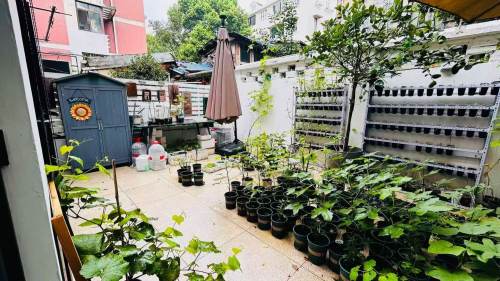 Housing image — Garden