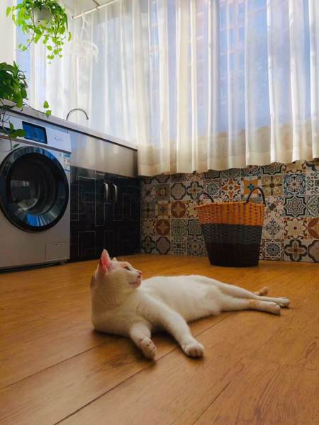 Housing image — Bedroom