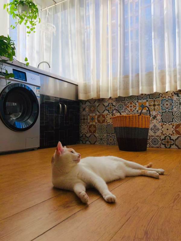 Housing image — Bedroom
