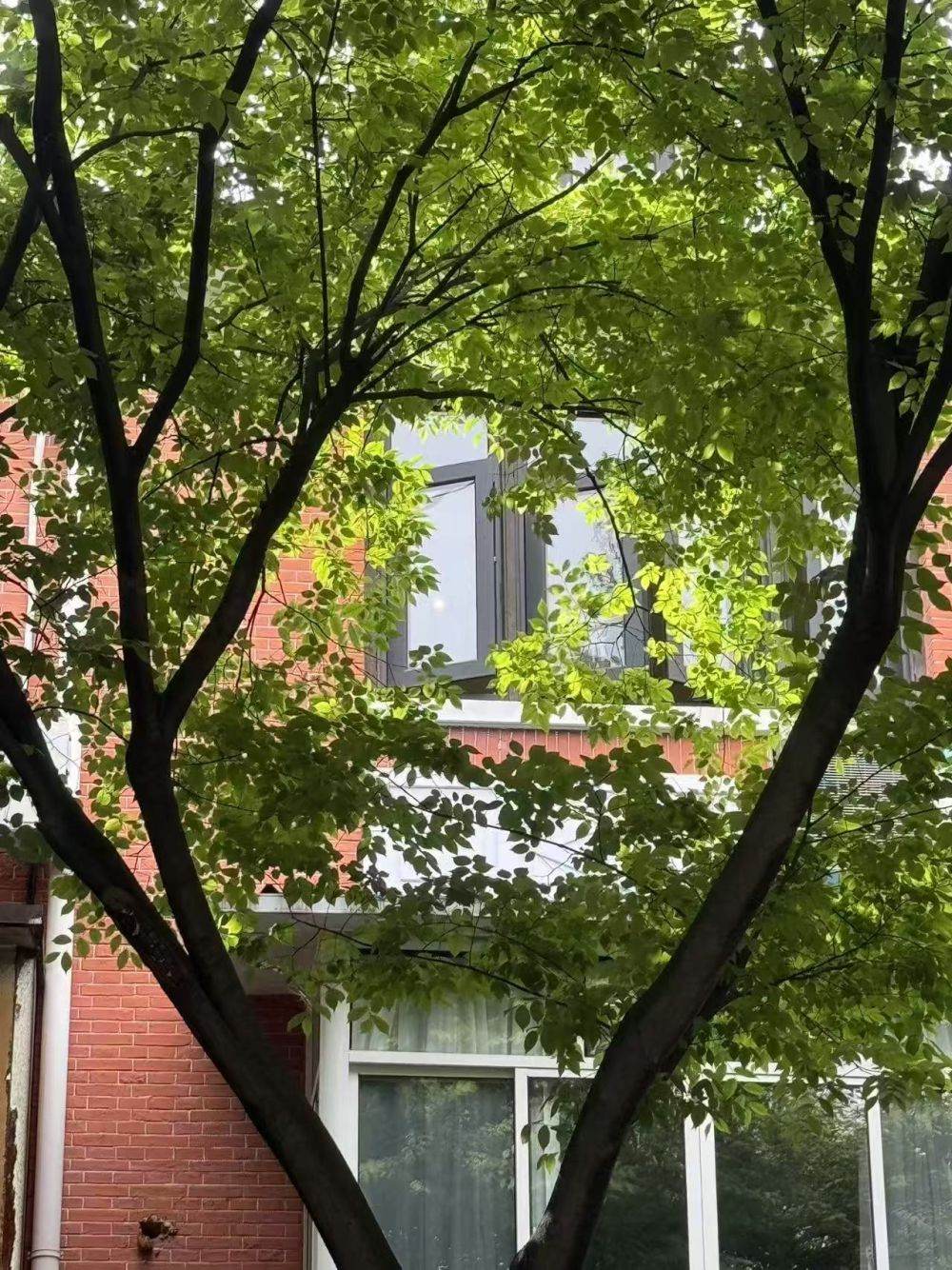 Housing image — Building Exterior