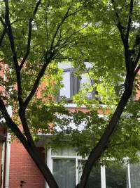 Housing image — Building Exterior