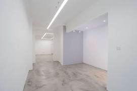 Studio Lane House near Dapuqiao Metro (L9)