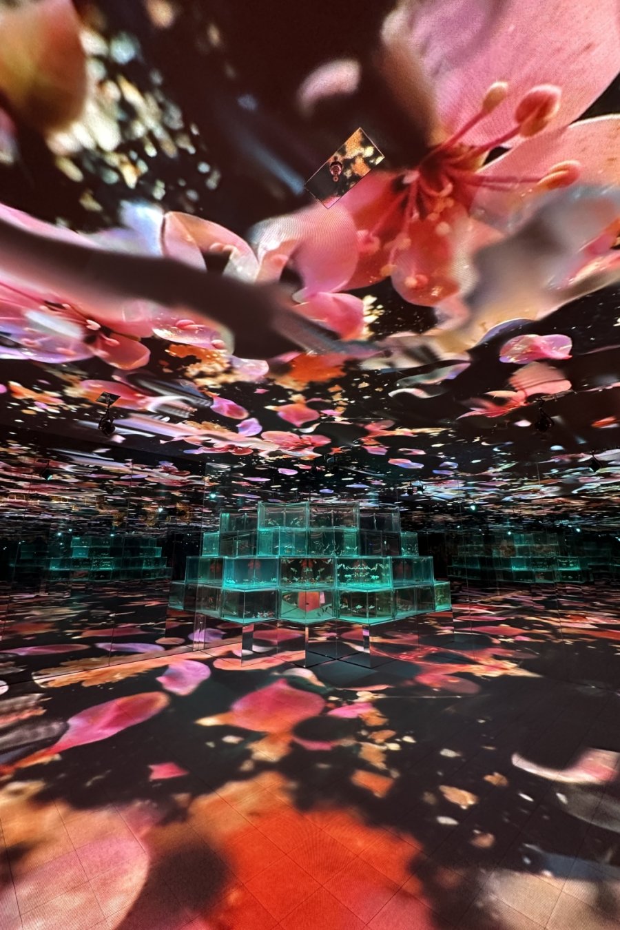 Goldfish Theatre: A Thousand Years of Goldfish, Now With More Neon
