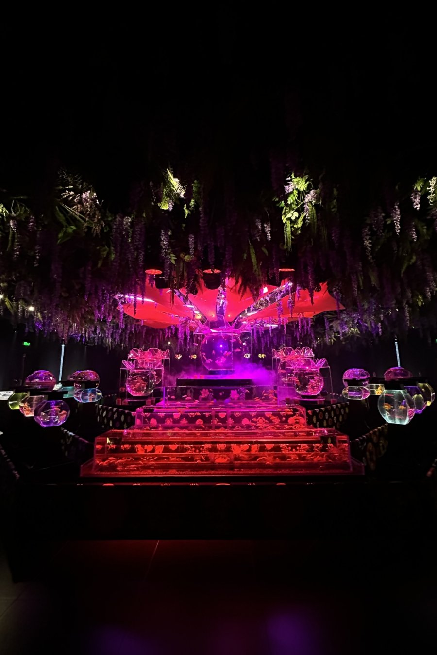 Goldfish Theatre: A Thousand Years of Goldfish, Now With More Neon