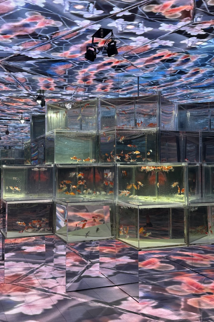 Goldfish Theatre: A Thousand Years of Goldfish, Now With More Neon