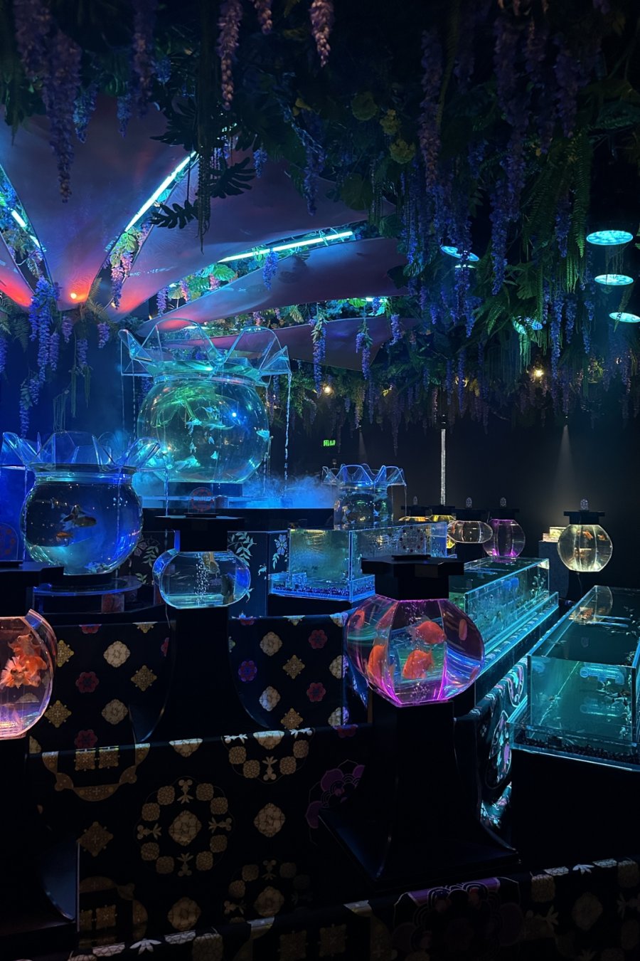 Goldfish Theatre: A Thousand Years of Goldfish, Now With More Neon