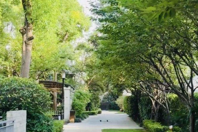 Spacious High-Ceiling 3BR Apartment in Old Xuhui with Green View