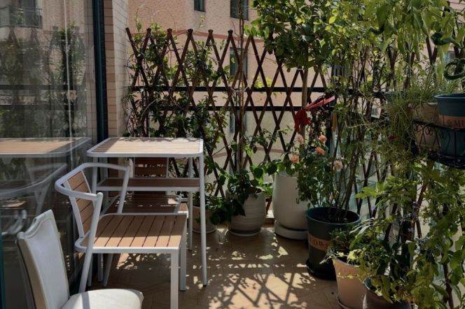 High-Floor 3BR Apartment in Gubei