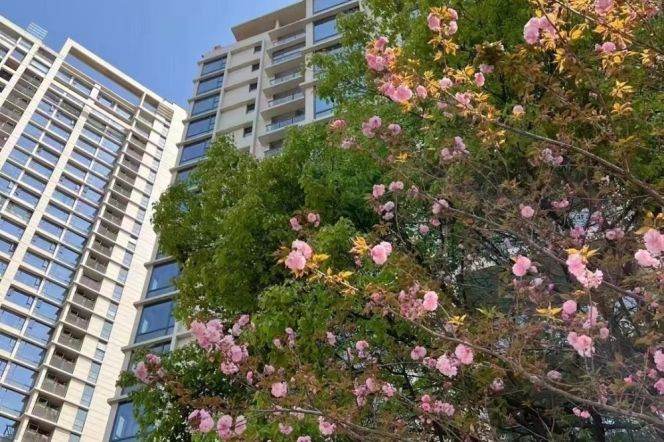 High-Floor Spacious 2BR Apartment near Xintiandi Metro (L10/L13)