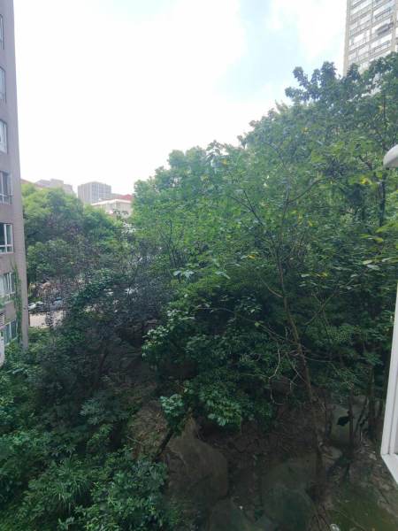 Housing image — View