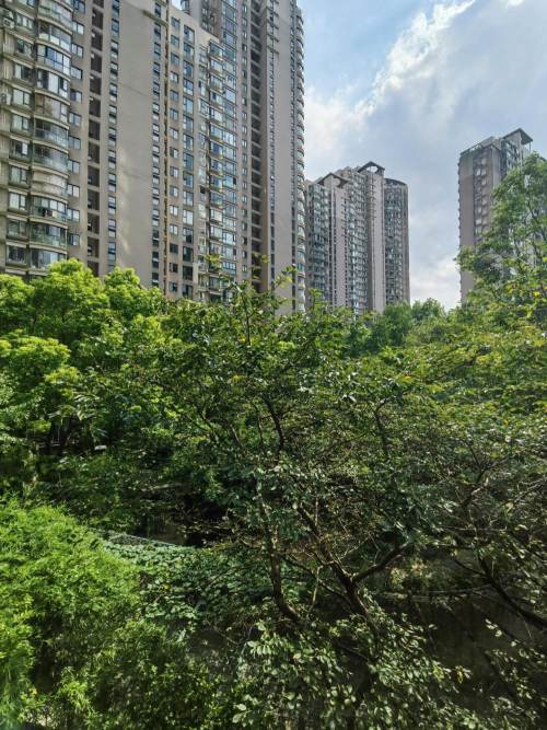 Housing image — View