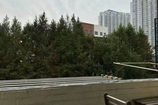 1BR Apartment in Jing'an (L2/L11)
