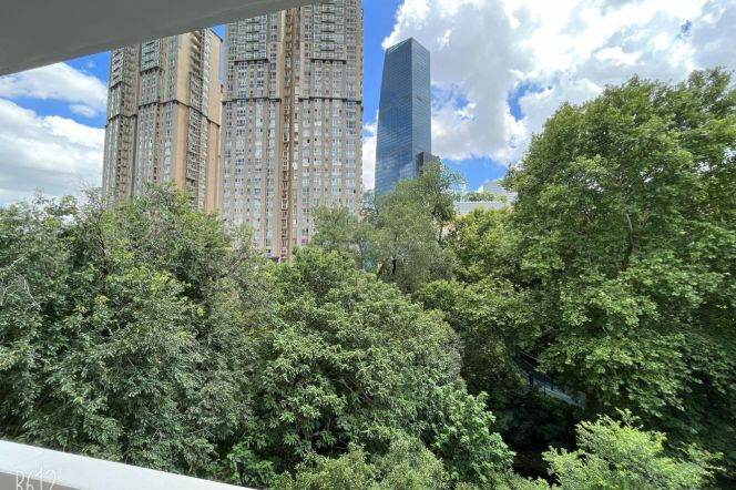 1BR Apartment near Zhongshan Park (L2/L3/L4)