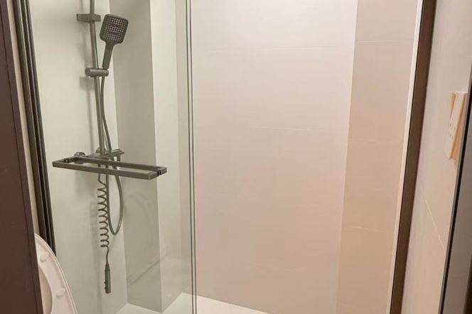 1BR Apartment near Xujiahui Metro