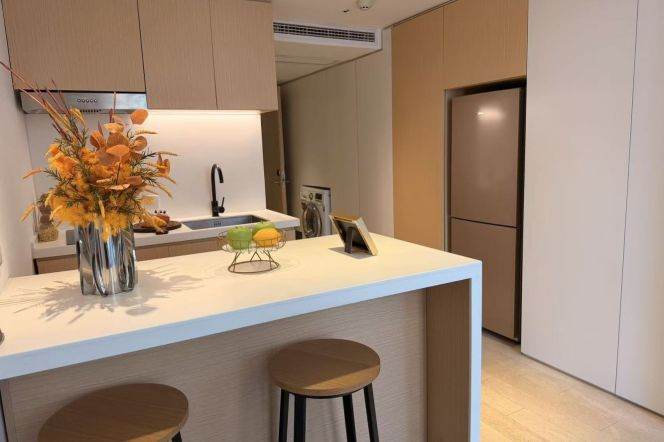 1BR Serviced Apartment near Shanghai University Of Traditional Chinese Medicine (L9/L12)