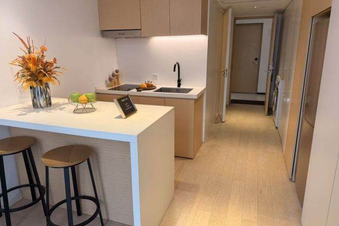 1BR Serviced Apartment near Shanghai University Of Traditional Chinese Medicine (L9/L12)
